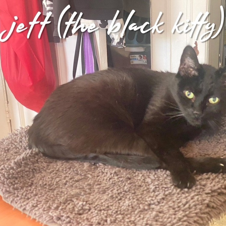 Jett - Home to Home