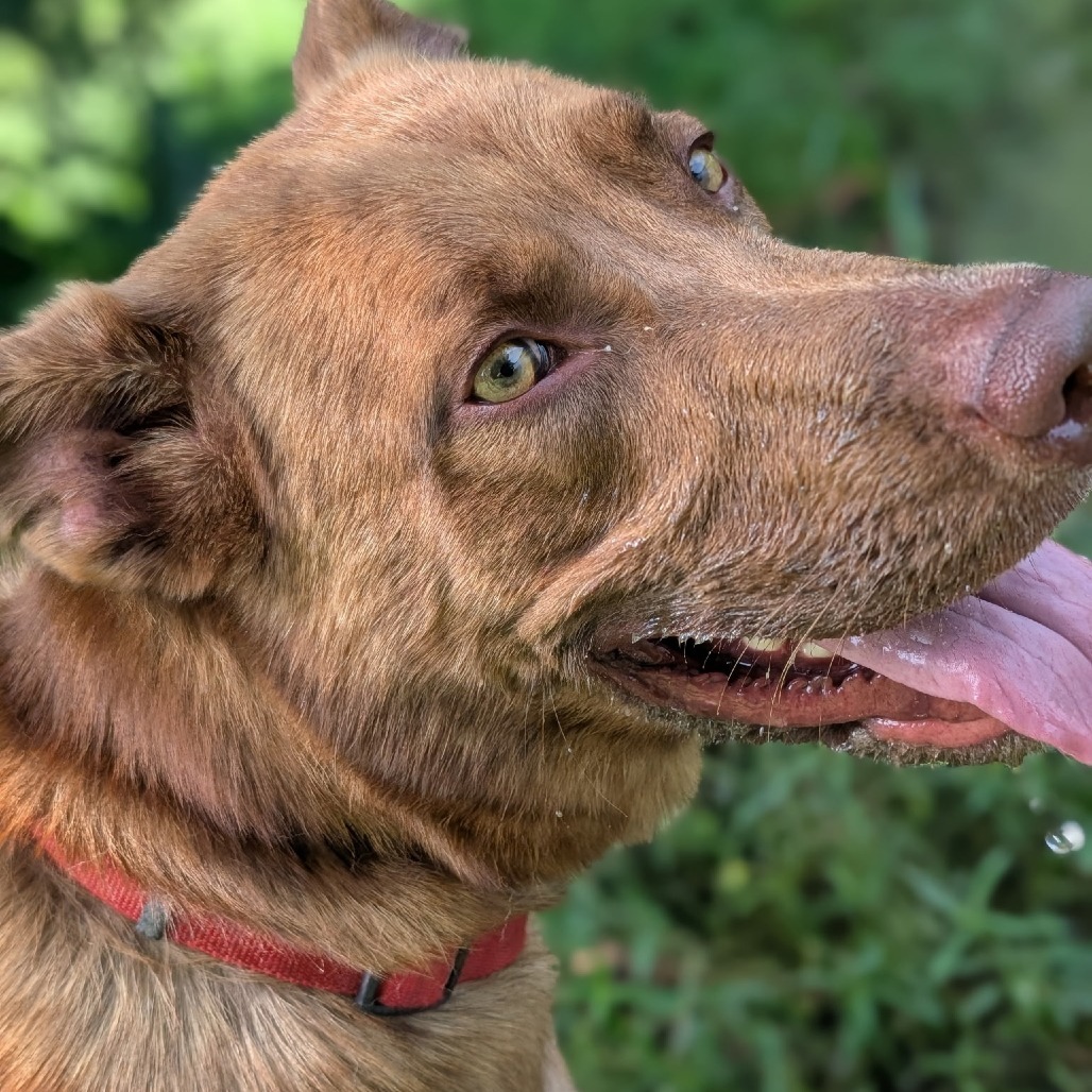 Bundy (Buddy) 27949