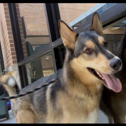 Lakota