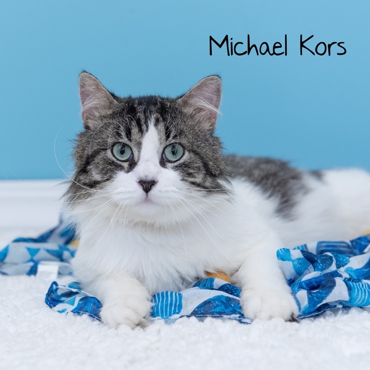 Michael Kors