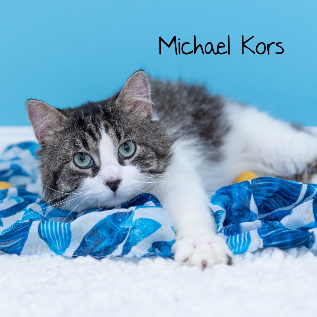 Michael Kors