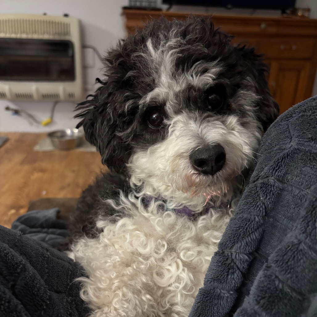 Leroy
