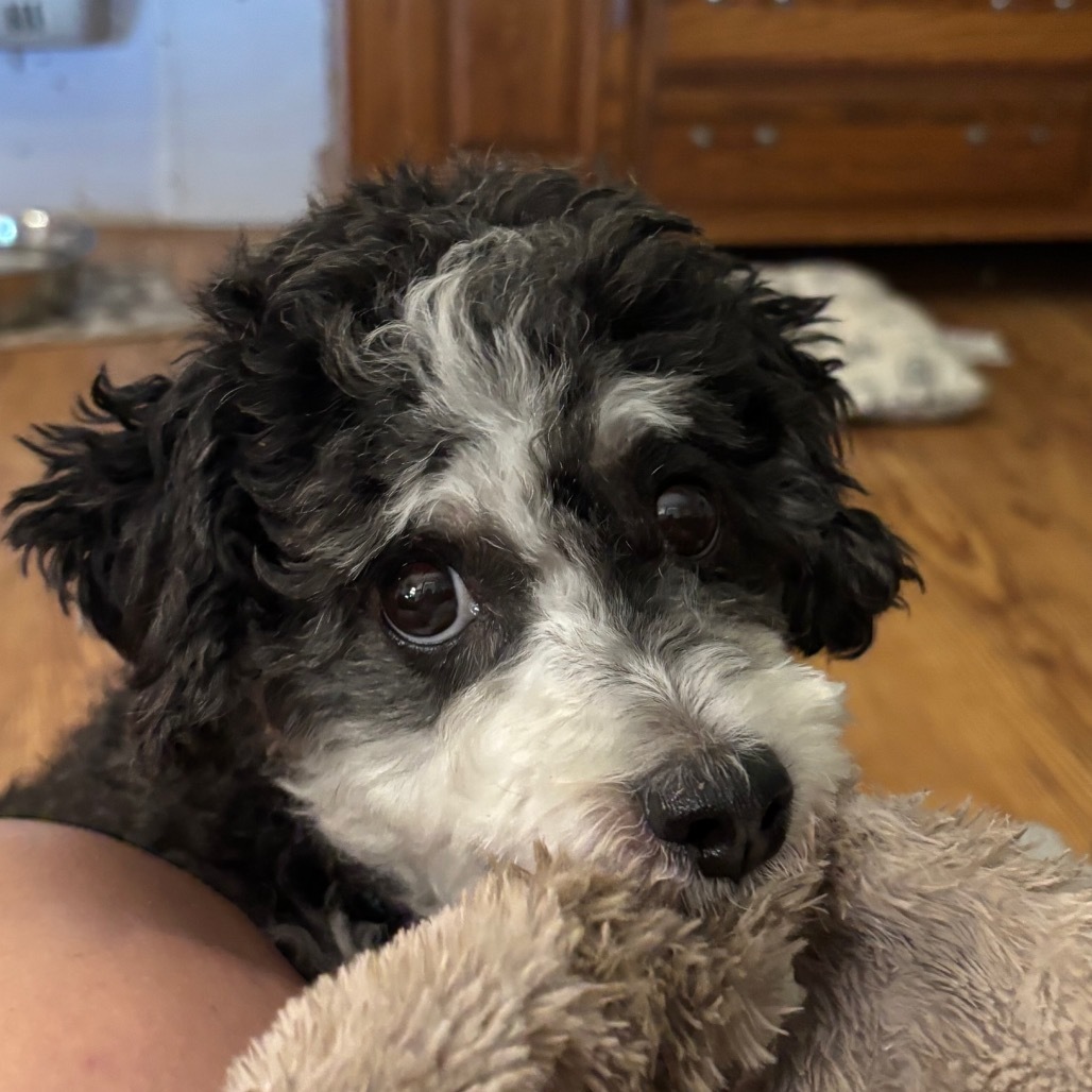 Leroy