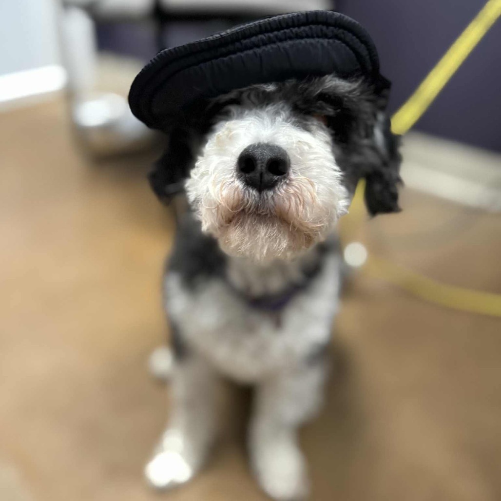 Leroy