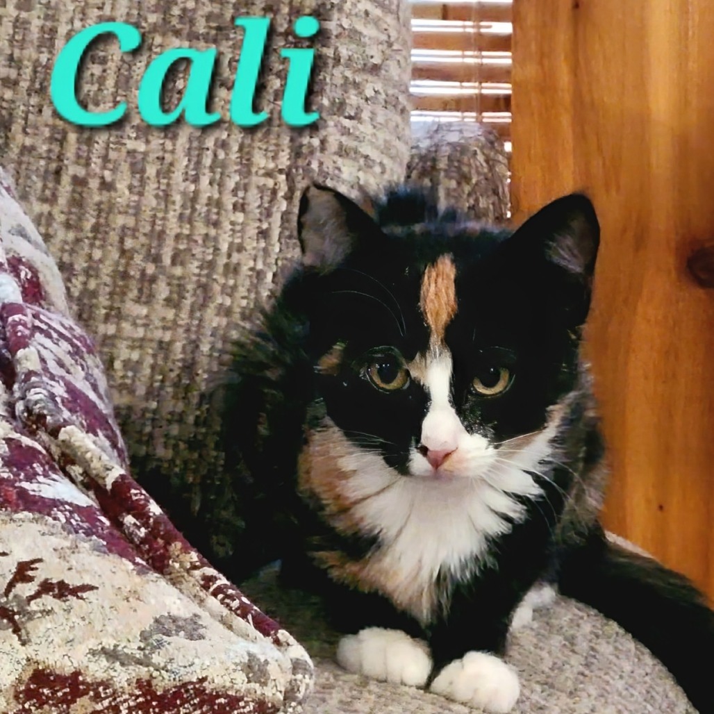 Cali