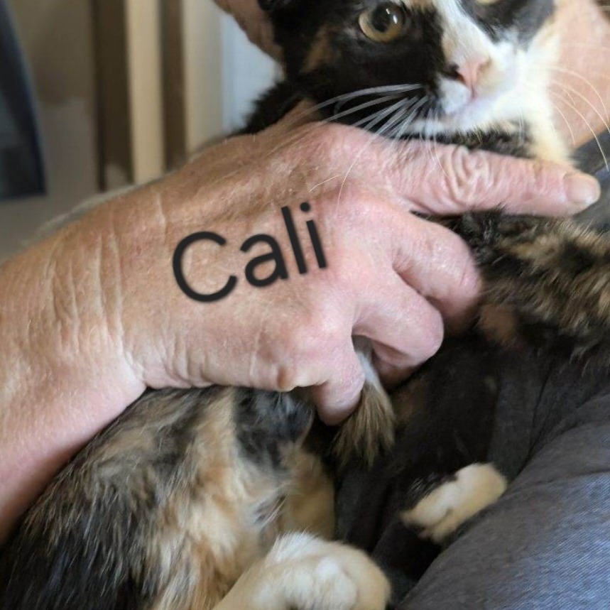Cali