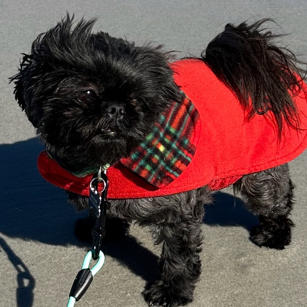 Coco