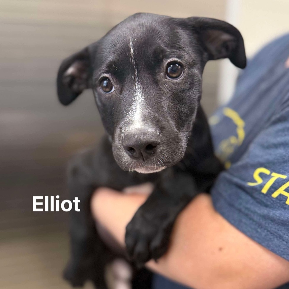 Elliott