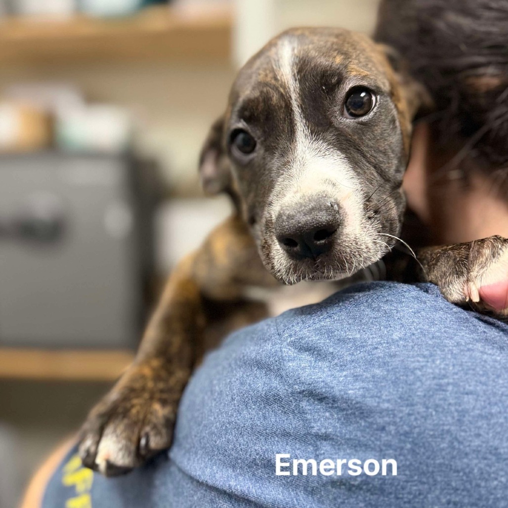 Emerson