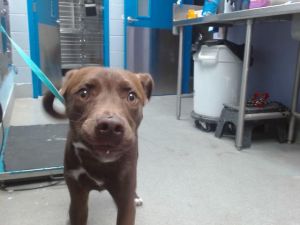 CHANEL, Young Female unknown