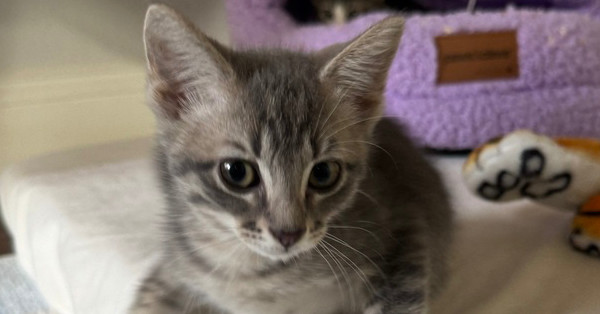Opie