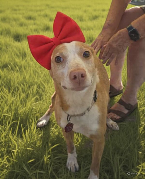 Betsylou thumbnail 3