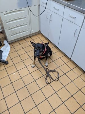 58938889, Baby Female unknown