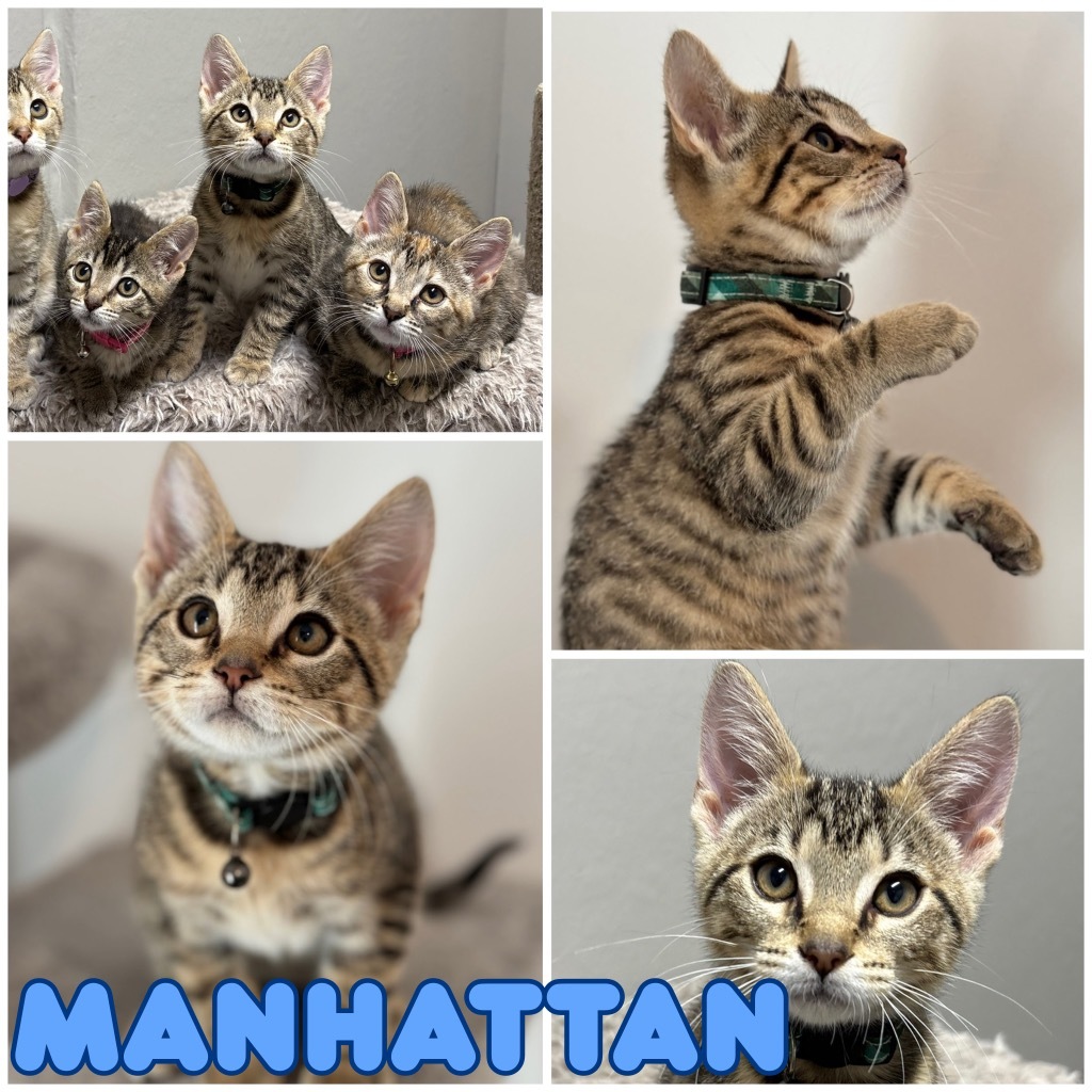 Manhattan - Silo