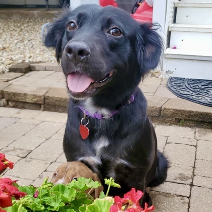 Penelope+