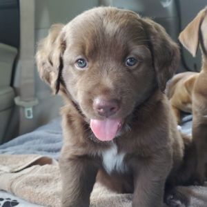 Bobby Jo, Baby Female unknown