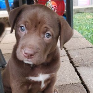Bessie Mae, Baby Female unknown