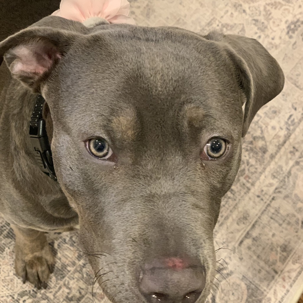 Nellie
