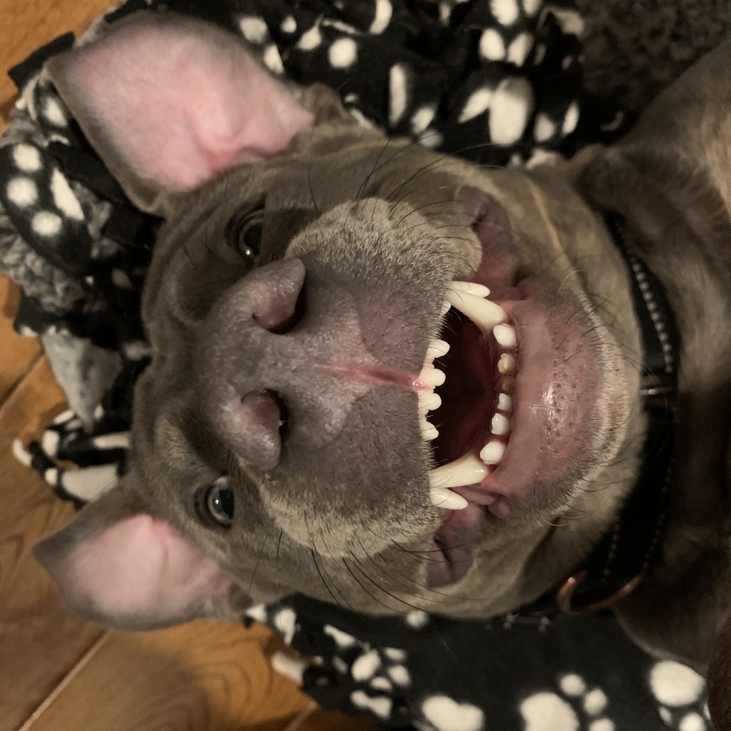 Nellie