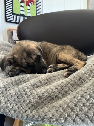 WINNIE