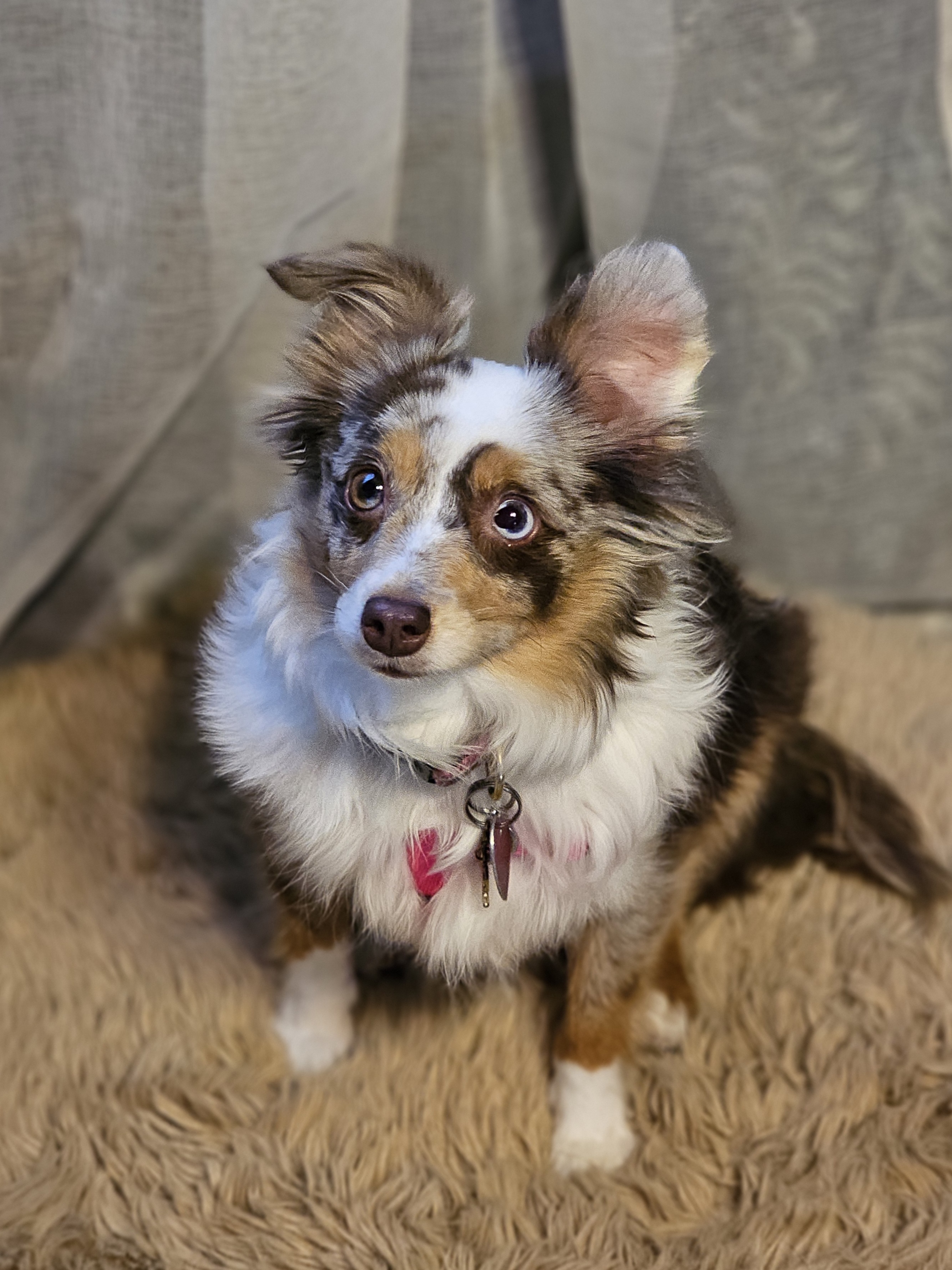 Hazel Marie/Mochi