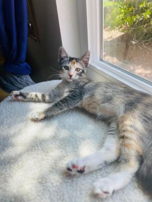 Nita, Baby Female unknown