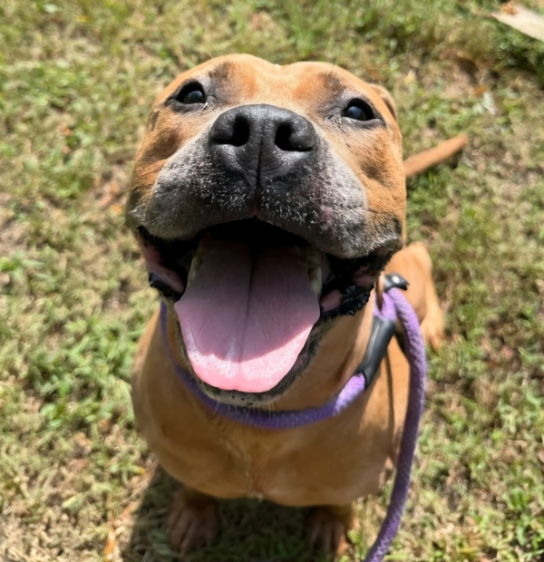Freyja