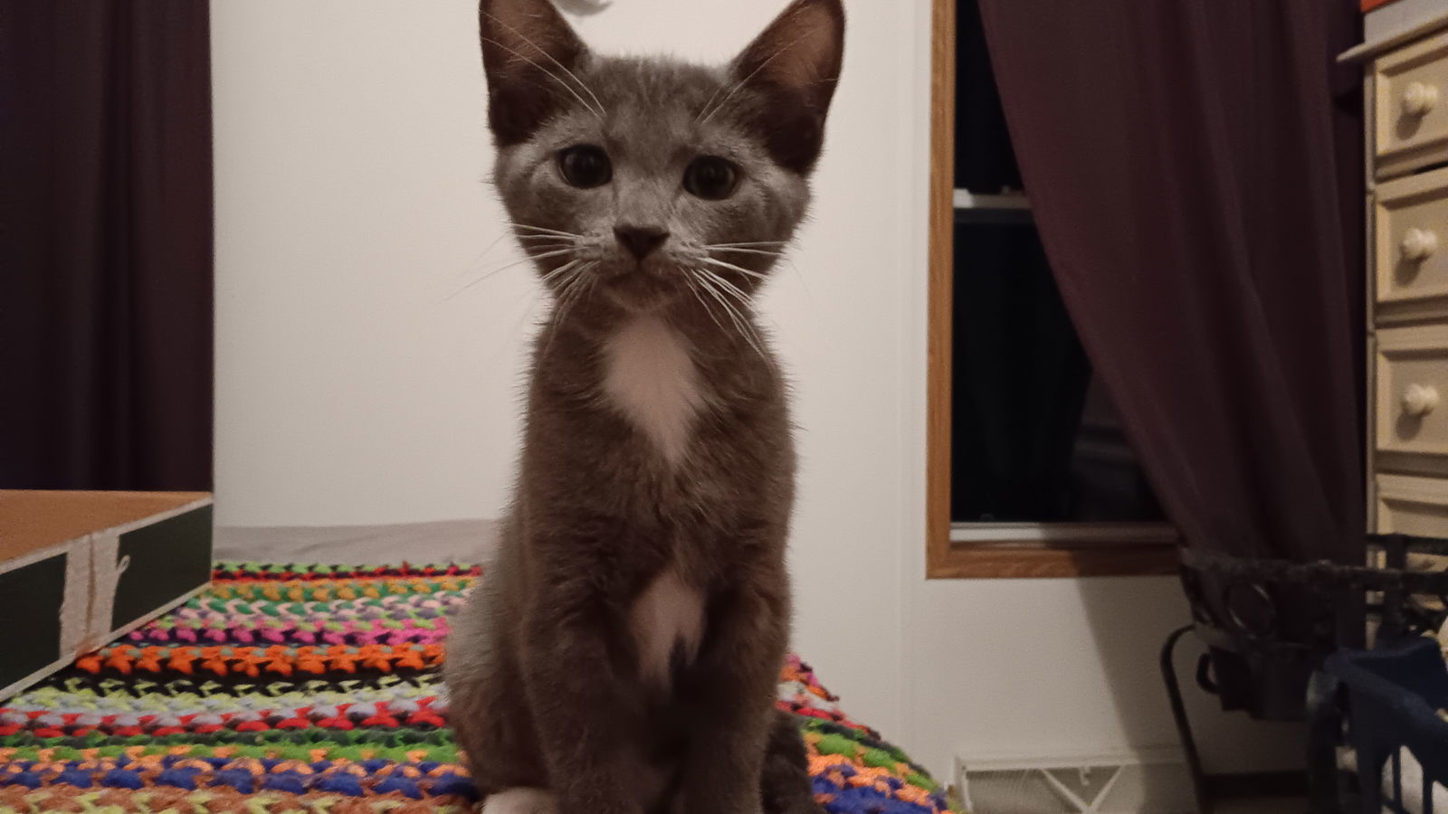 Vilma
