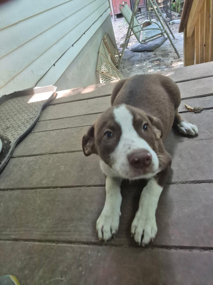 Buster