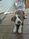 Buster photo 1