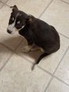 Daisy Mae photo 3