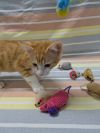 Kitty Smalls photo 2