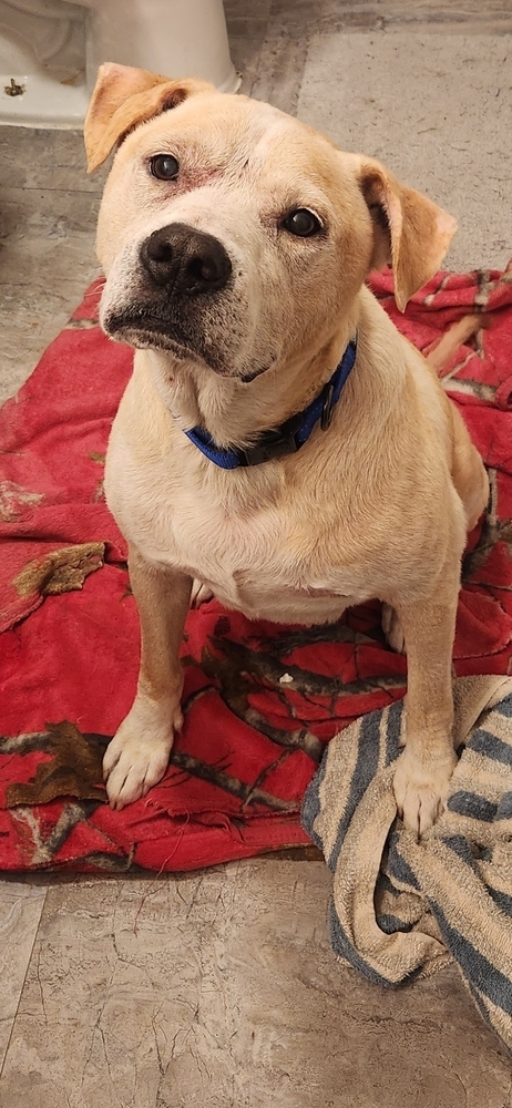 Sammy