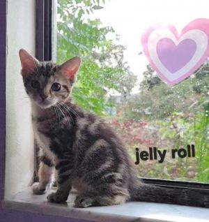Jelly Roll