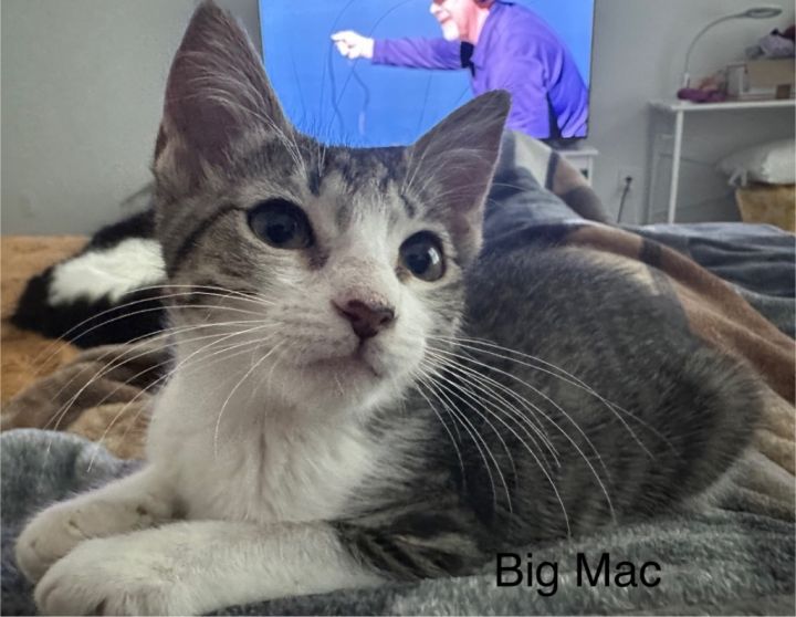 Big Mac 3