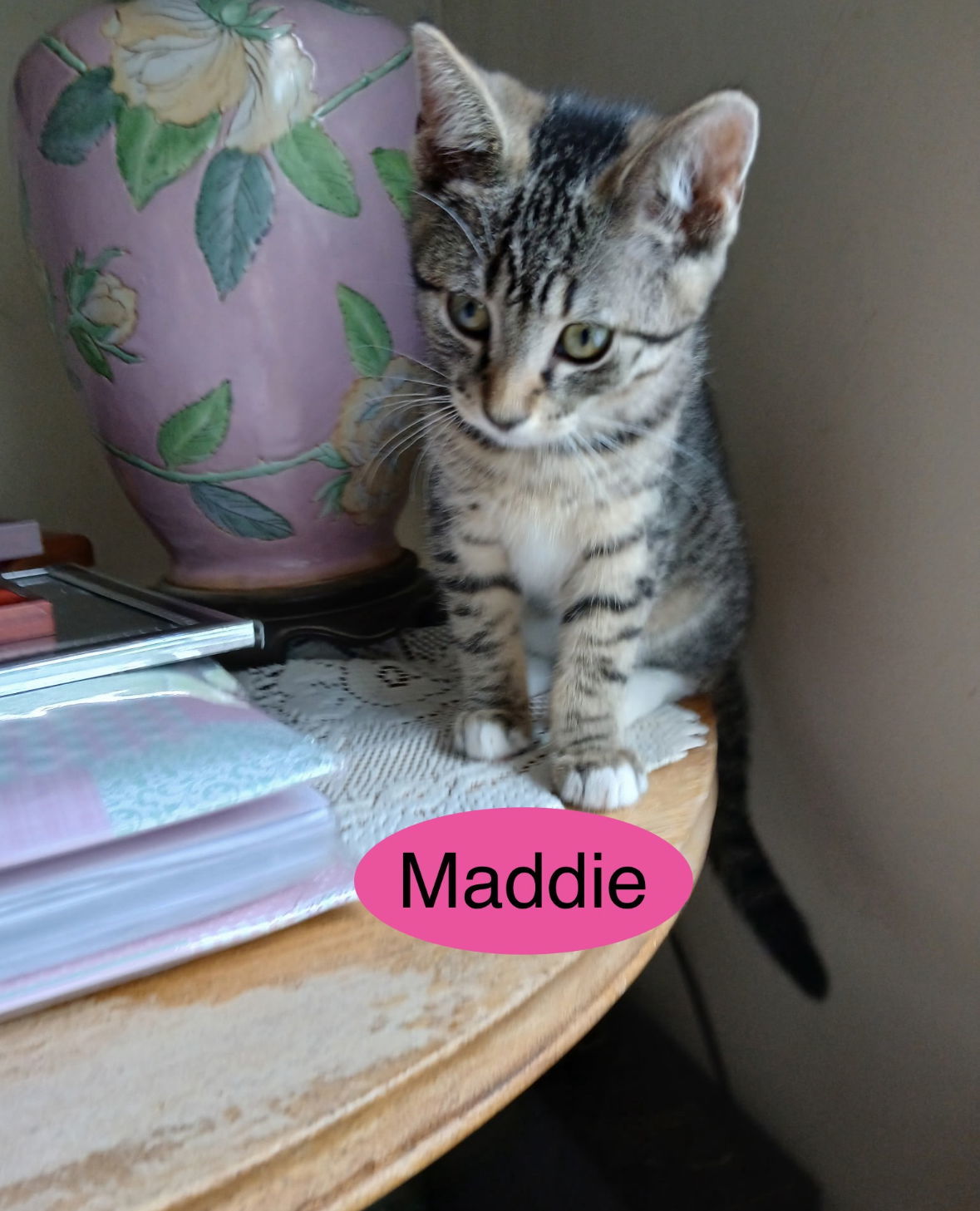 Maddie