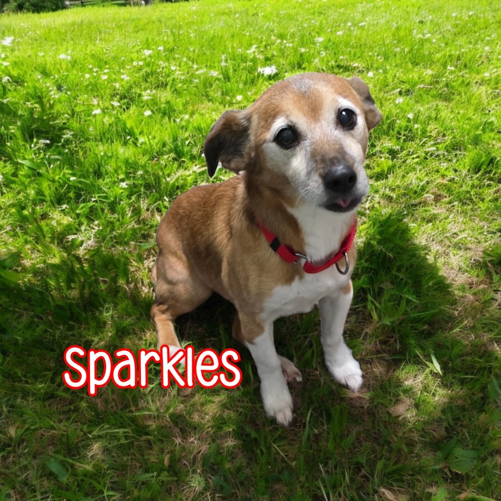 Sparkles