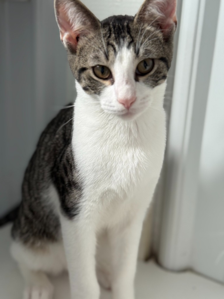 Marley