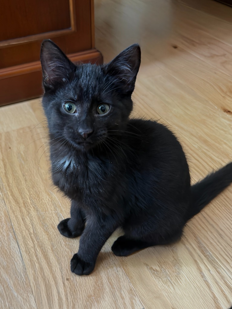 Carla