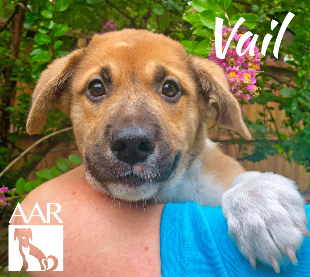 Vail