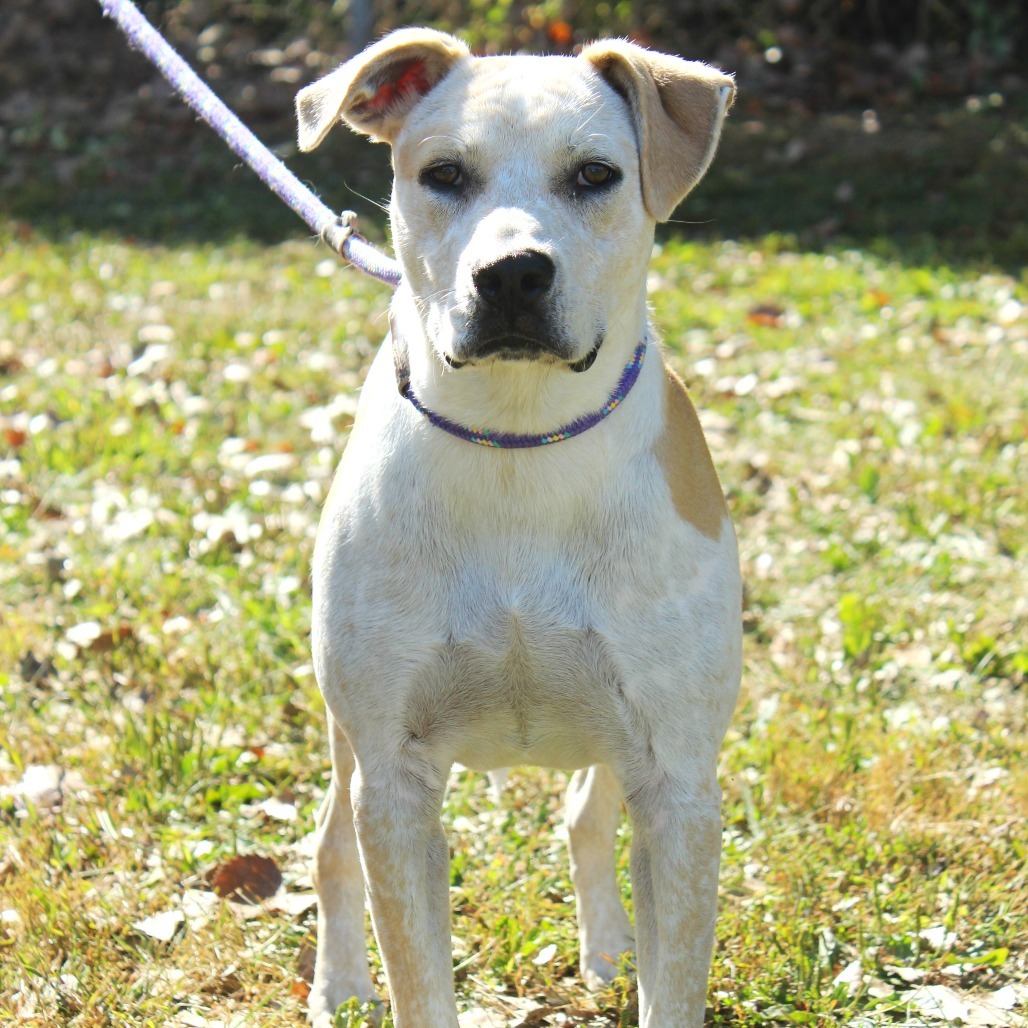 Rowdy (Formerly MC Hammer)
