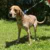 Ember 25-1079 photo 3