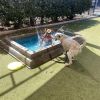 Fiona photo 4