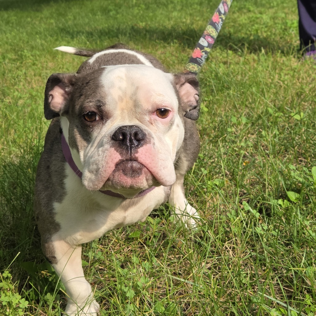 Delilah