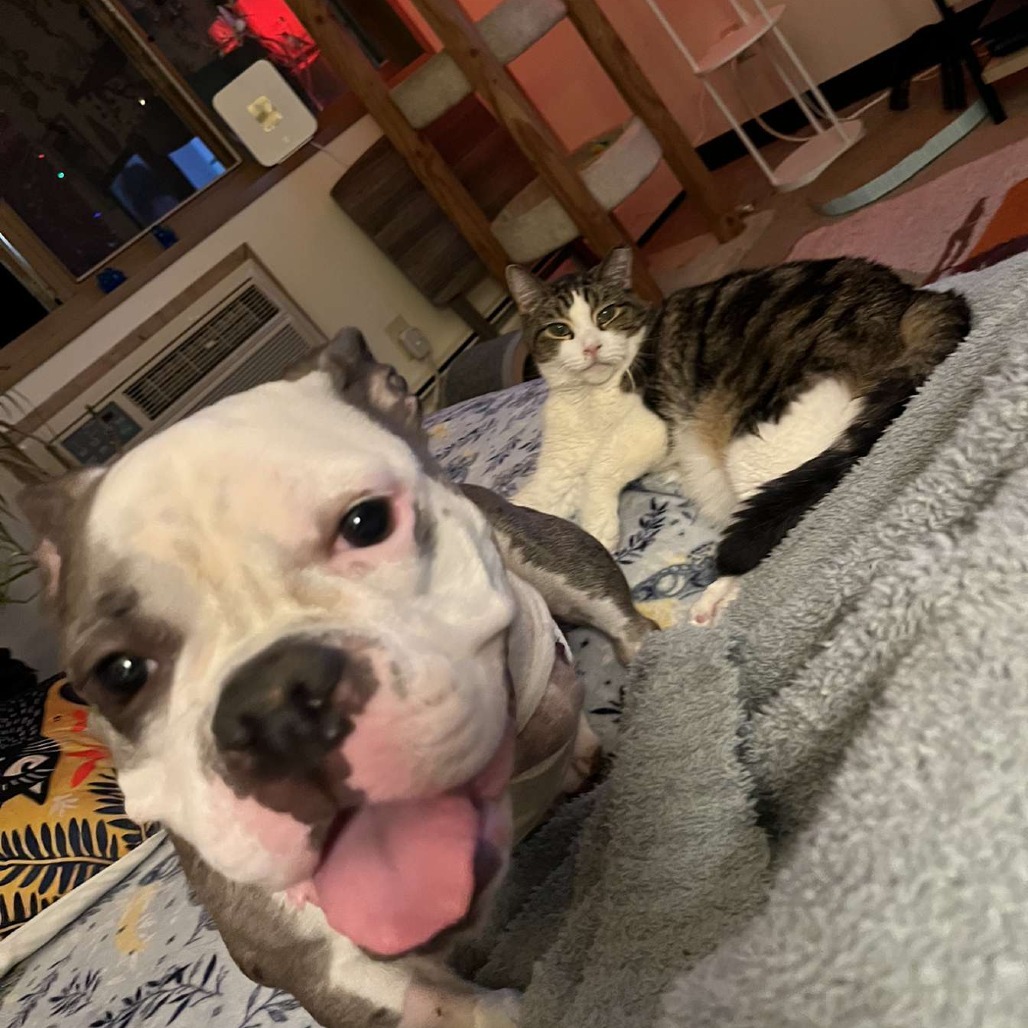 Delilah