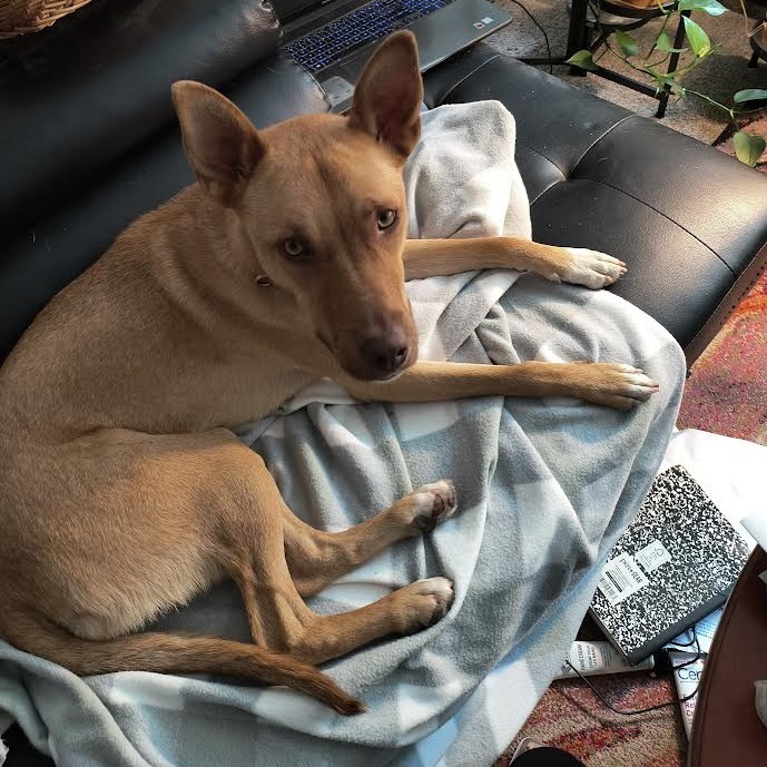 Kenya - Loves People! Adopt $25!