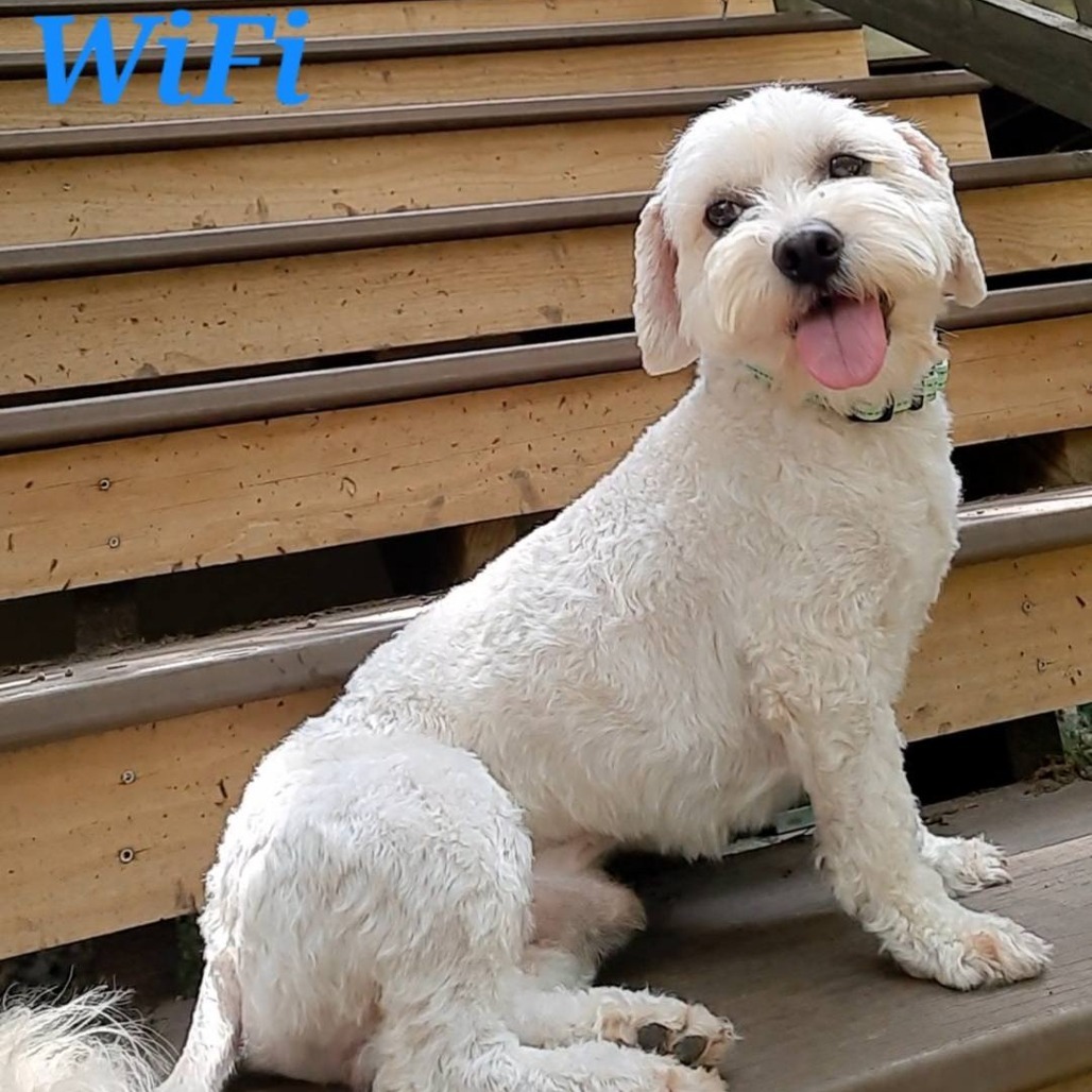 Wi-Fi
