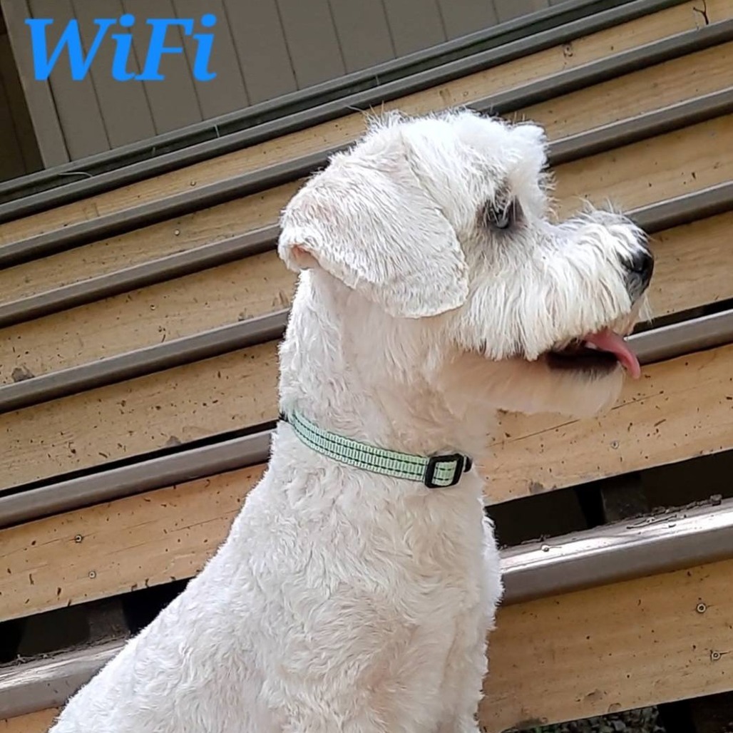 Wi-Fi
