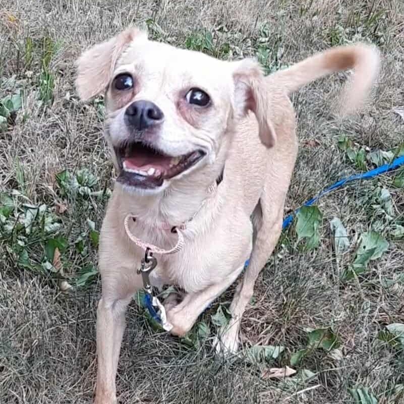 Nala
