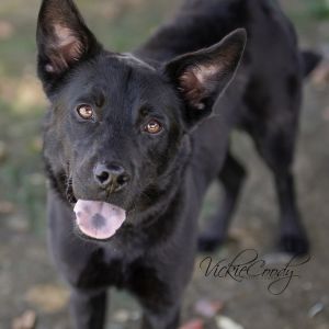 Hurley, Young Male unknown